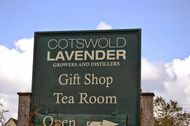 Cotswolds - Stratford-upon-Avon, Broadway Tower i lawendowe pola w Snowshill (dzień pierwszy).