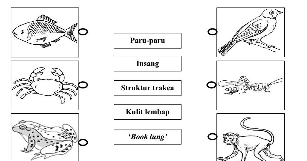 Koleksi Latih Tubi Sains Mengikut Tajuk - BAHAN SEKOLAH RENDAH