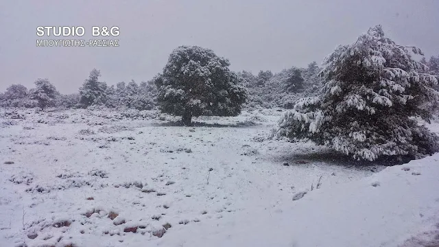 Διαδοχικά κύματα κακοκαιρίας με πολικό ψύχος μέχρι και το πρώτο 10ημερο του Φεβρουαρίου