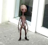 Εξωγήινος τελικά στην φωτογραφία έξω απ'το κυβερνητικό κτίριο;