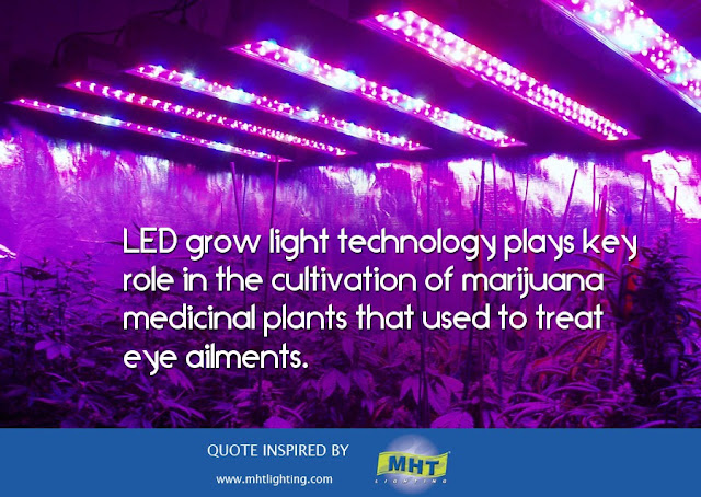 LED grow light