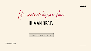 Life science lesson plan on the human brain || Download lesson plan on human brain