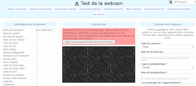 1. TestWebCam (testwebcam.com):