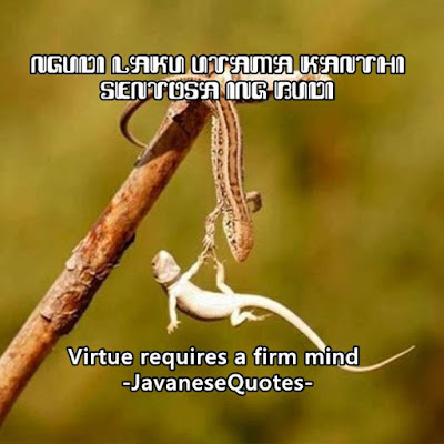 Virtue Requires A Firm Mind