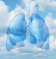 Imagen de los pulmones Respiración profunda