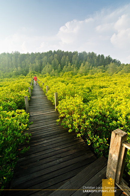 Tung Prong Thong Rayong Thailand