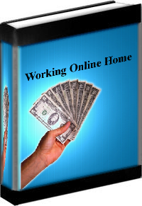Working Online From Home eBooks Master Resale Rights Software Articles PLR Private Label Rights