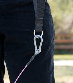 Chew-proof, bite-proof, dog-proof leash