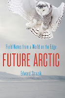 Future Arctic