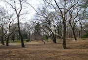 . Side yesterday morning I walked into Central Park near West 81st Street, . (central park)