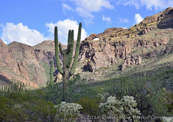Organ Pipe Arch Rock