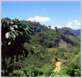 Parque Nacional Santa Barbara