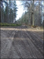 P3100024