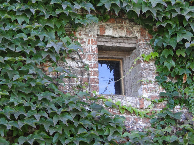 ivy wall florist in thunderbay