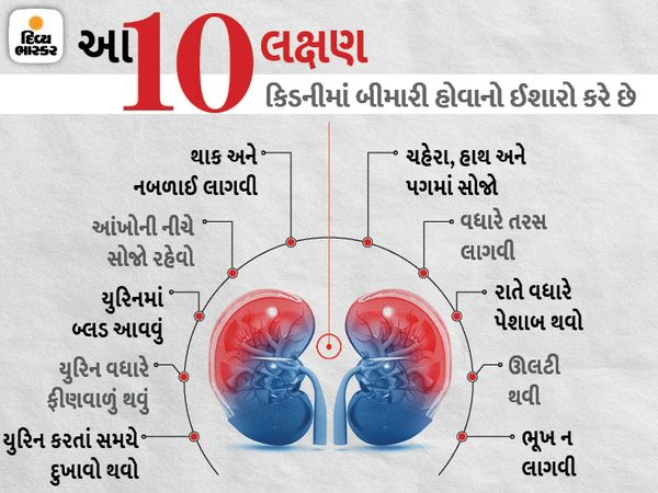 Keep weight and blood pressure under control to keep kidneys healthy, drink 8 glasses of water daily; Check the health of your kidneys this way