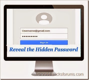 View+hidden+password