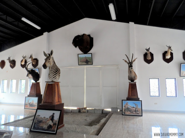 Safari Gallery Baluarte Vigan Ilocos