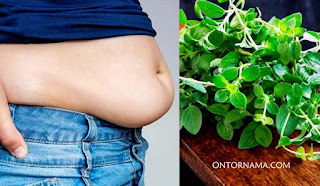 what herbs burn belly fat fast remedies for flat tummy and small waist natural remedies to burn belly fat which medicine is best for reduce belly fat home remedy for flat tummy without losing weight supplements to reduce belly fat naturally herbs for flat tummy tea home remedies for flat tummy without exercise