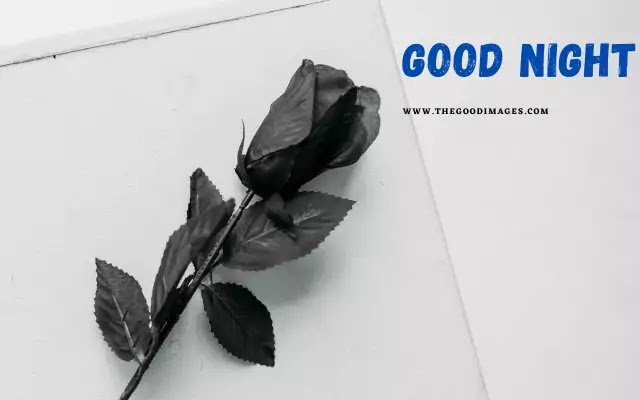 Image Of Good Night With Rose