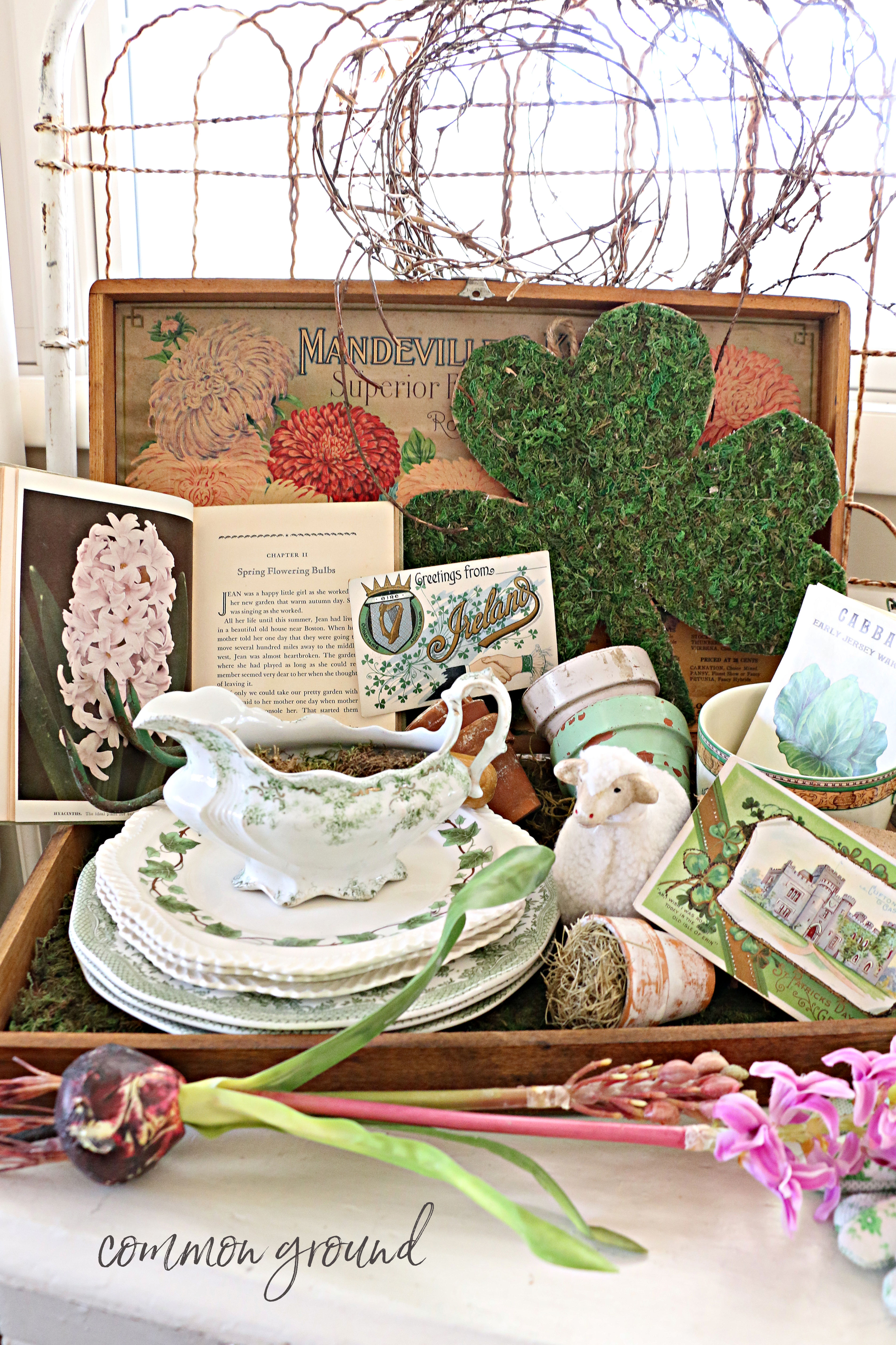 common ground : St. Patrick's Day Seed Box Vignette