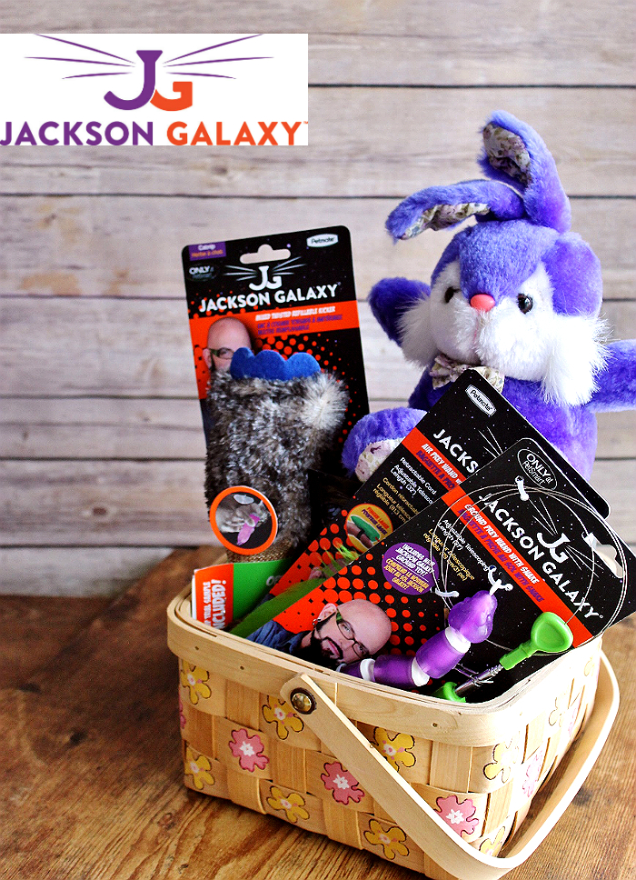 Discover #JacksonGalaxyCatPlay by Petmate toys and enrichment tools at PetSmart and unleash your cat's inner Mojito! Foster a cat's natural instincts to hunt, catch, and kill with these colorful and engaging cat toys! #Sponsored