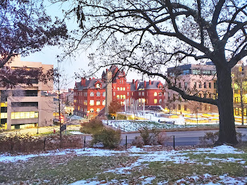University of Madison - Wisconsin in winter 2019, Beasiswa lpdp, scholarship abroad
