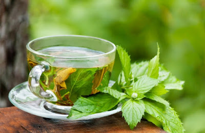 How to Use Daily Detox Tea for Weight Loss