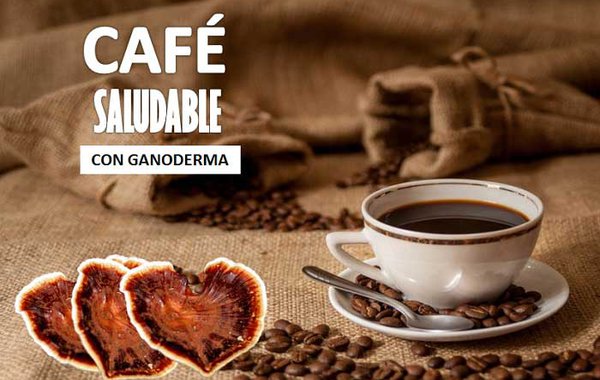 Café con Ganoderma es el café más saludable del mundo