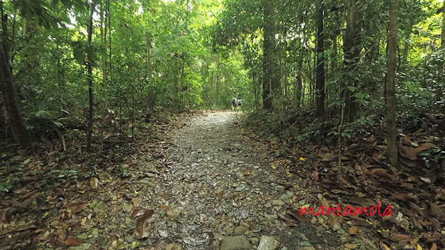 Singapore Nature reserve