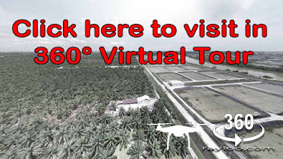 Click here for 360° Virtual Tour for Nibong Tebal Palm Oil Land By Penang Raymond Loo 019-4107321