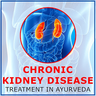 Ayurvedic chronic kidney disease treatment