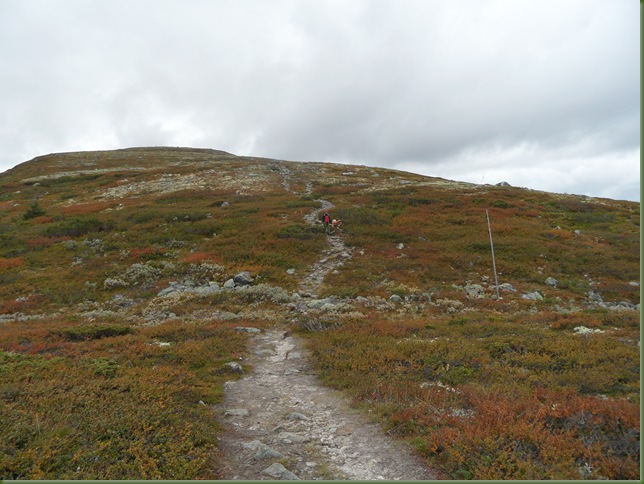 ÅKREFJELL 005