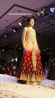 Interesting Ideas Bridal Lehenga