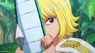 ワンピース アニメ 1087話 女ヶ島 アマゾンリリー ONE PIECE Episode 1087