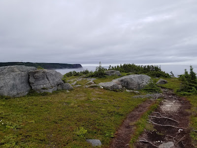 Father Troy's Path East Coast Trail.