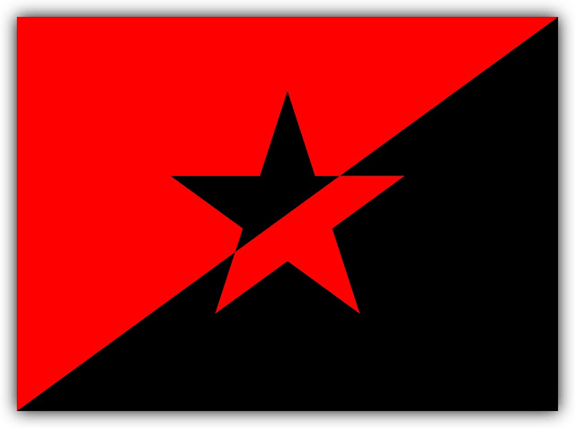 Anarchy Star Flag