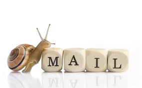 Snail Mail Image
