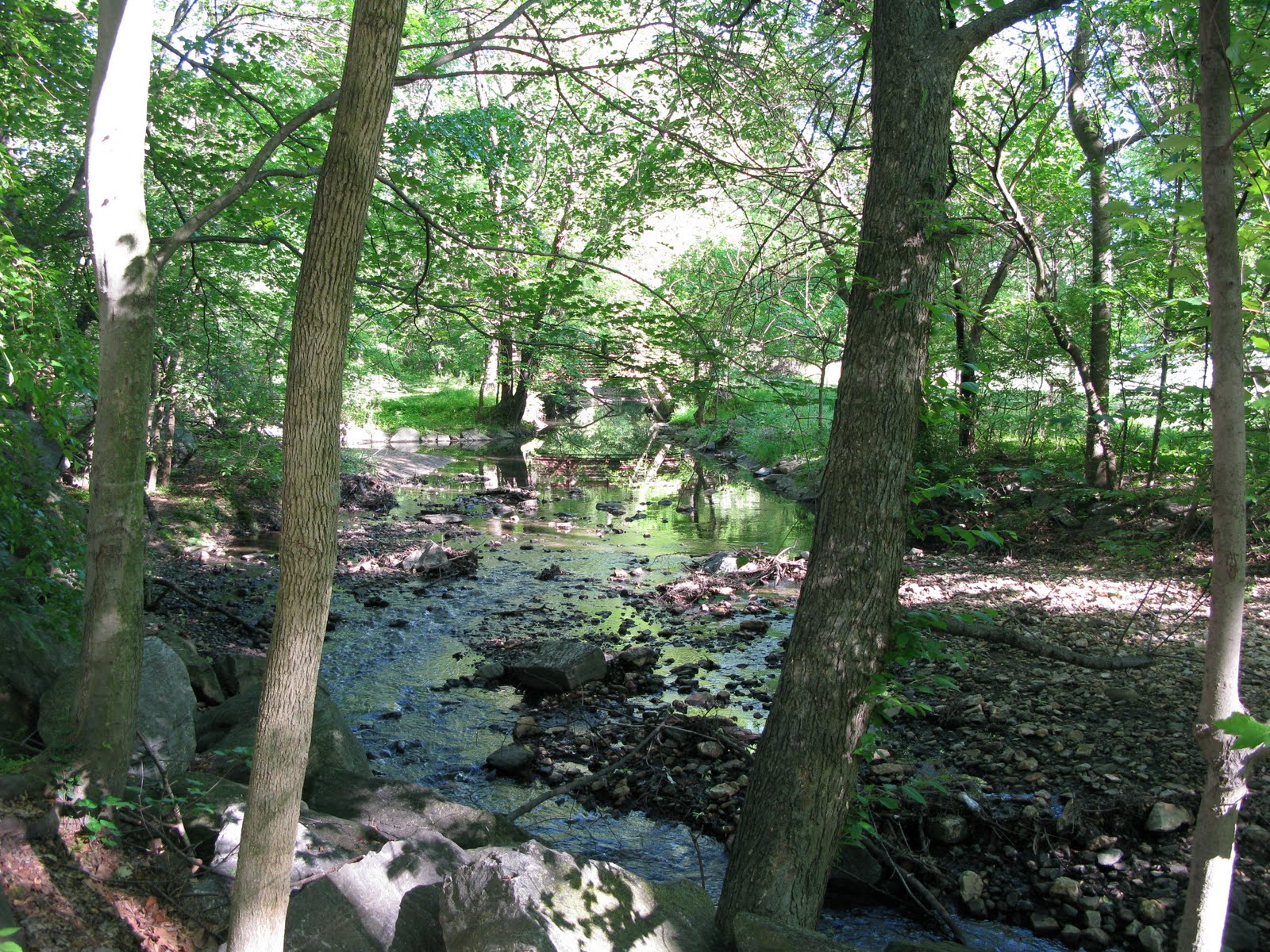 Sligo Creek