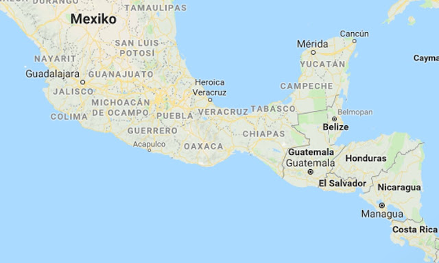 48 kartellmedlemmar gripna i Mexiko