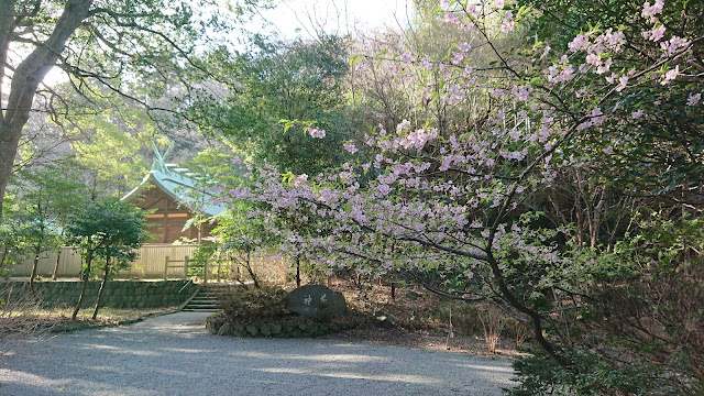 早春の鎌倉宮神苑