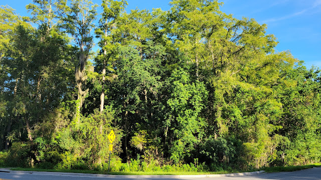 The corner of Aiken St. and Volusia St. In West Augustine Florida