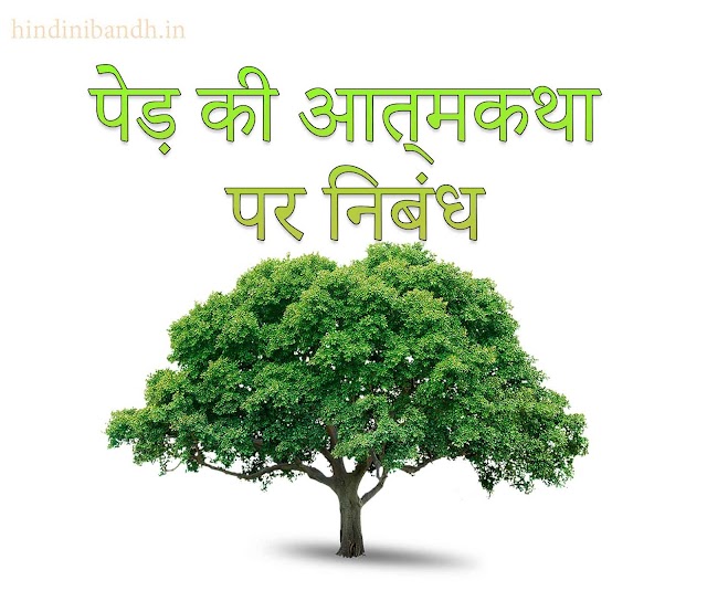 पेड़ की आत्मकथा पर निबंध | Autobiography of a Tree Hindi Essay 200-500 Words