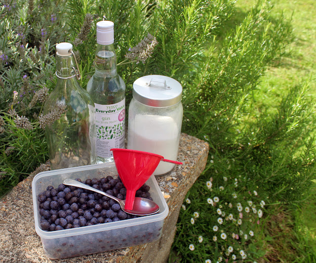 How To Make Sloe Gin - Last year I was given a small bottle of Sloe Gin by a neighbour, not being much of drinker I had never tried it before and it was really quite delicious if a little on the strong side! So being a lover of all things home made I knew it was definitely something I would like to try myself, well, once I had located a blackthorn hoard that is! 