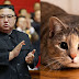 Kim Jong Un hapuskan kucing & burung merpati untuk elak virus Covid-19 tersebar di negaranya