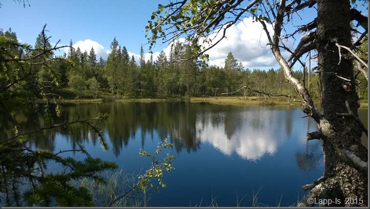 WP_20150831_030