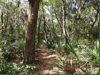 By the Alafia site 25 035A