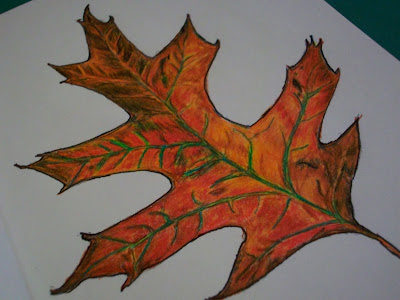 Red Oak Leaf 2