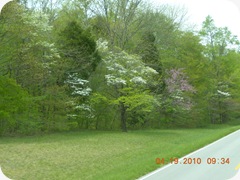 DSCN5175
