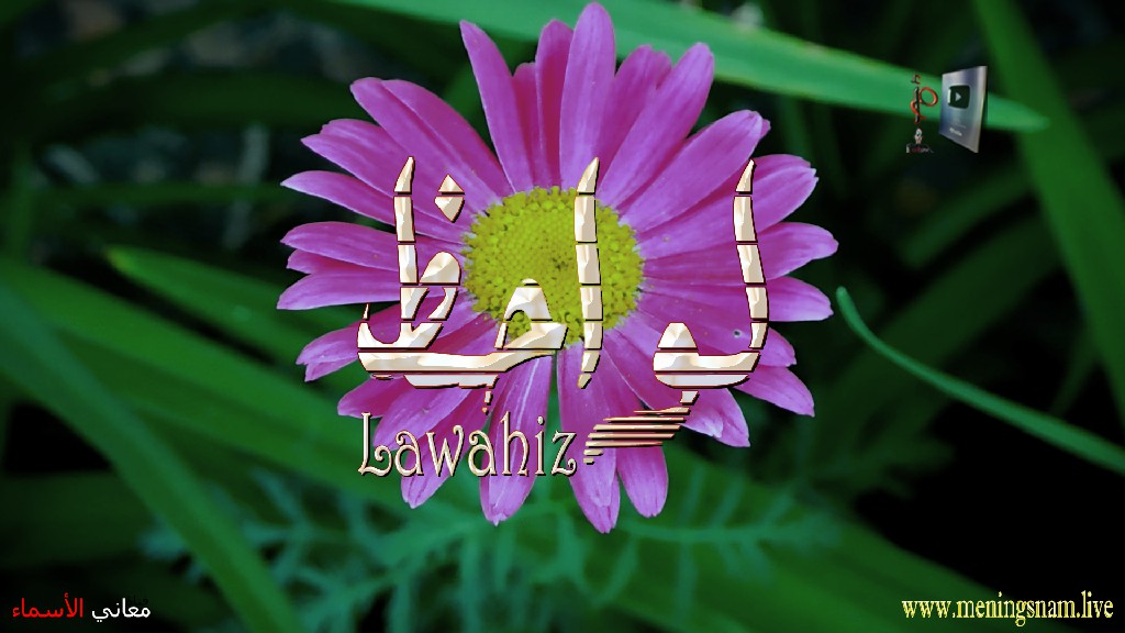 معنى اسم, لواحظ, وصفات, حاملة, هذا الاسم, Lawahiz,