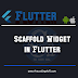 Scaffold Widget in Flutter with Examples